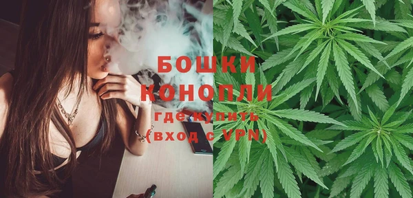 твердый Осташков