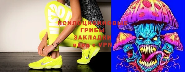 твердый Осташков