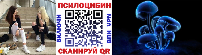 Галлюциногенные грибы Psilocybine cubensis  darknet как зайти  Нефтегорск 